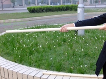 White stick whip martial arts stick Taiji stick shape 13 martial arts stick white wax rod gyro whip 1 2 meters