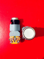 With light white button LA39-B2-11D W31 button switch with light