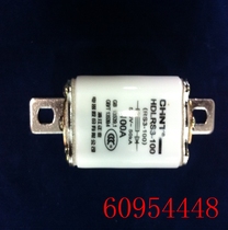 Zhengtai fuse body HDLRS3-100 RS3-100