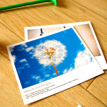 LOMO style small card small fresh postcard greeting card blessing message card holiday gift card dandelion