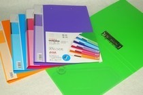 Deli A4 Folder Single Power Clip Pocket Folder Office Supplies