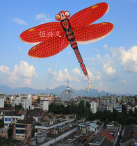 Weifang traditional fine silk kite Weifang characteristic kite plane dragonfly silk hand painted