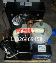 2 horses chiller 2p fish pond unit custom unit industrial Cold Water Seafood chiller