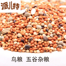 5 kinds of mixed grain nutrition with budgerigi Parrot bird food feed 500g a catty Guangdong 30kg