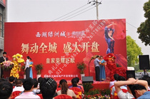 Dragon dance Lion dance performance Advertising Dragon car parade Float rental Gong and drum performance Celebration Lion dance Dragon dance