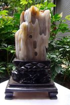 Mineral family natural Myanmar tree jade fossil silicified wood rough stone ornaments 5295