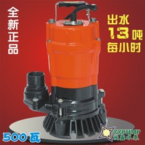 Special 500W household water pump submersible pump Agricultural pump