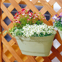 Green plant IRIS resin wall hanging flower pot Alice PROVINCE wall hanging 350 400 flower trough