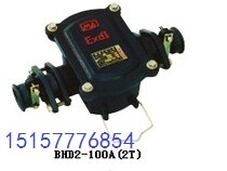 Sales of mine explosion-proof cable junction box BHD2-100A-2T two (bus box) 100A