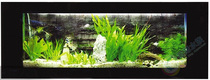 Wall hanging wall fish tank living room home study creative ecology free water tropical fish glass aquarium customized