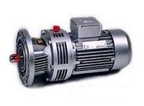 WB120 Cycloid pin wheel reducer 370W 1 59