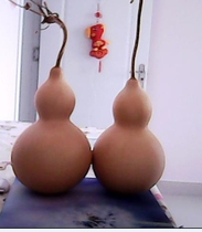 Painting learning gourd natural plain gourd 18cm