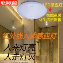 Human body induction ceiling lamp 12V Solar Energy Engineering infrared induction lamp sun desk lamp aisle induction lamp toilet
