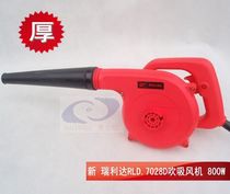 High quality 800W industrial grade Ruilida 7028D speed control suction hair dryer dust collector Internet bar hair dryer