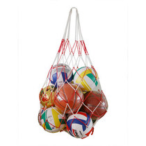 Put the ball in the large net