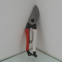 Factory direct gardening supplies fruit tree scissors Greening scissors flower scissors pruning shears garden scissors