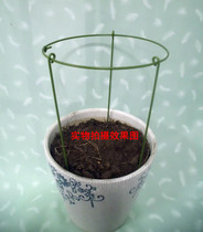 Orchid leaf guard fixed frame Cymbidium leaf support frame Crab foot orchid frame plastic iron ring Garland prop