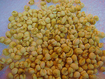 () Super Sichuan Beichuan Fritillaria 50g