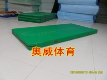 Leather mat 2*1*0 05m sponge with zipper detachable inlay strip gymnastics mat