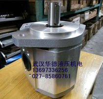 Hefei Saiyuan gear pump CBQ-G532 520 525 540 F550 563 573-AFP ALP AFH