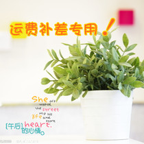 Special for the post-postage price difference