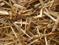 My own wheat straw short wheat straw straw straw plate wheat flesh broken wheat straw straw made chicken nest grass dry wheat straw 250g