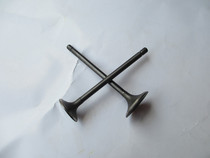 Motorbike Valve Light Yang Original Plant Mount Everest King Prince ZF150 Hoshuang Taiko CG150 valve pair