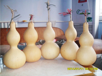 Natural large gourd 40cm