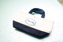 Fron Bag electric iron accessories package electric iron package electric iron storage Bag electric iron Bag heat resistant