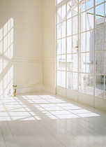 Korean photo studio photography background wedding dress children Taobao clothes photo background cloth digital window background 3178