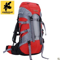 Outdoor skin hiking backpack riding mountaineering schoolbag universal capacity big Arctic bag double shoulder Fox Light