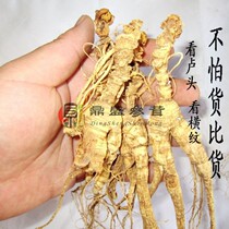 A money-losing dump Changbai Mountain Ginseng under Forest yi shan can mountain ginseng debris ginseng mountain ginseng debris 15 years for personal use mountain ginseng grams