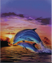 (DMC Dream Park) decorative frame painting wall decoration beautiful-sunset dolphin cross stitch kit white cloth