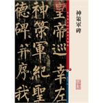 Color magnifies this famous Chinese steppingstone II Shenze military stele 9787532633753