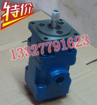 Quantitative small combination pump Electric YB1-2 5 2 5 double vane oil pump YB1-4 2 5~4 4 Lubrication accessories