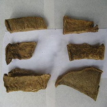 Golden tortoise Lotus snake Lotus Golden Lotus 500g