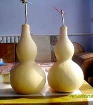 Fulu natural extra large gourd 40cm