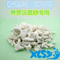 Quality ultra white coral sand raising Rohan undersand Special selection white coral sand coral bone filtration stable PH