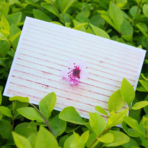 Special price boxed postcards 30 8 8 yuan registered letters