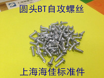 BT type element head self-tapping screw galvanized cut tail wash tail flat tail slotted round head self-tapping screw M3X6--M3X25