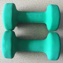 Dumbbell worn dip dumbbell 8LB *2