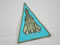Rare Collectibles F-14 Tomcat TOMCAT Fighter Early Triangle Model Badge Armlet
