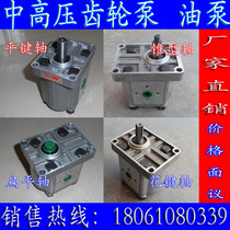 CBJ-E325 high pressure gear oil pump CBN-F325 flat shaft key pump CBT-G325 spline FEL2 FER2
