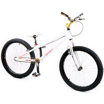 Explosive value crazy grab climbing bicycle BECAUSE COLOR 24 inch street climbing vehicle front and rear HS33 Special
