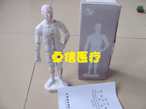 Acupuncture and moxibustion human model Acupoint model Human model 26CM human model