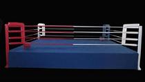 Boxing ring 7 8m * 7 8m * 1m boxing ring Sanda ring Taekwondo ring match Jin Sheng