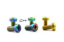Cos Ti Titanium Alloy Screw M6X12 Titanium Screw