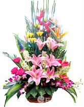 Blessing condolences flower basket desktop flower arrangement art design Perfume Lily paradise bird mix and match blessing flower basket