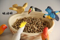 Hemp gray parrot Sun eclectic Diamond sunflower Keck monk special bird food Parrot bird food bird feed