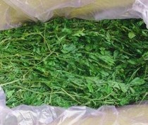 2021 Premium alfalfa leaves large special green rod fine quality super good plus box 1KG